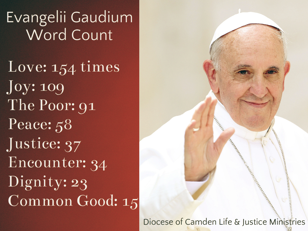 Pope francis and future catholicism evangelii gaudium and papal agenda, Theology